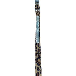 Animal print Xsmall collar with rhinestones Susan Lanci Designer